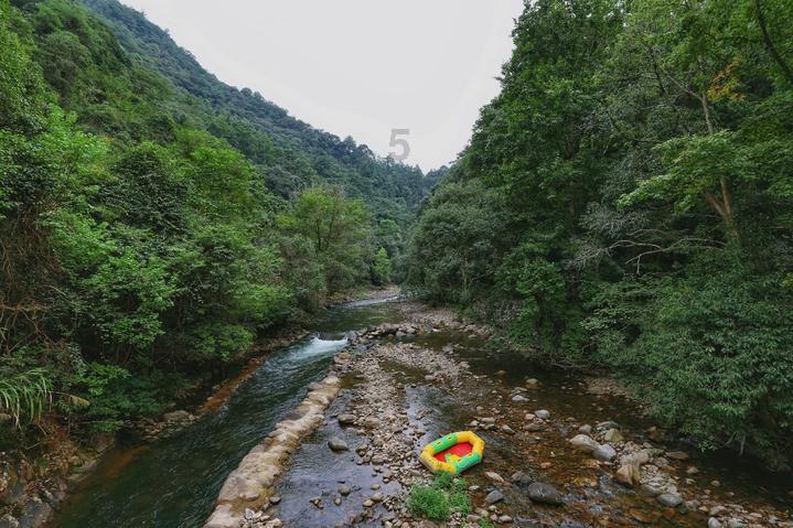 豆娃爱糖果3